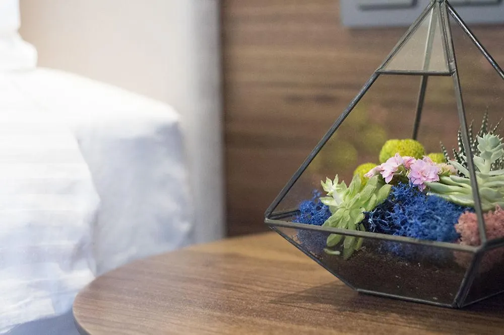Snog Rooms & Suites Stambuł Hotel
